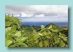 Cross Island Trek_14